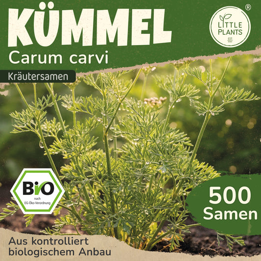 Bio-Kümmel