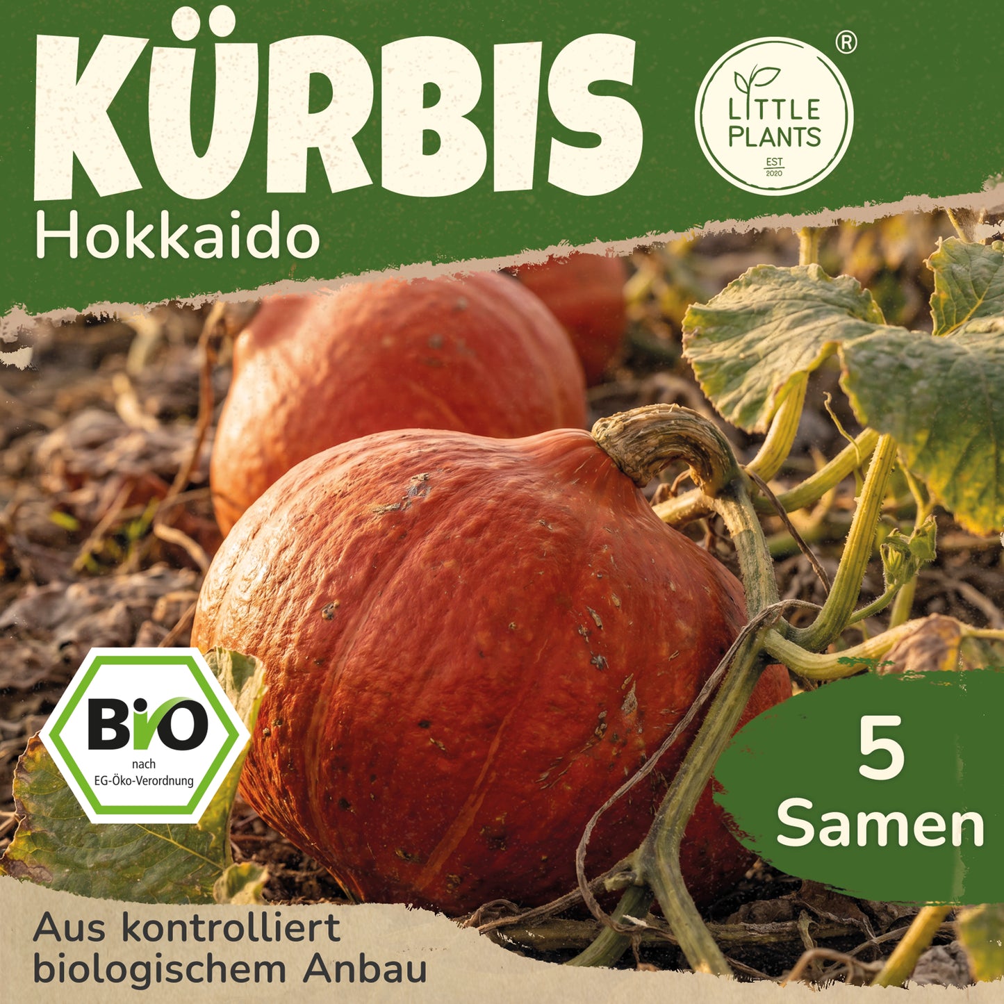 Bio-Kürbis (Hokkaido)