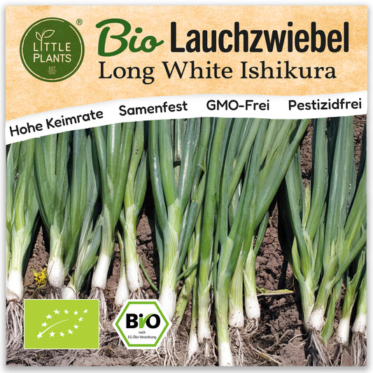 Bio-Lauchzwiebel (Long White Ishikura)