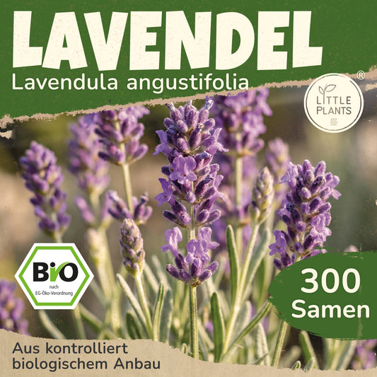Bio-Lavendel