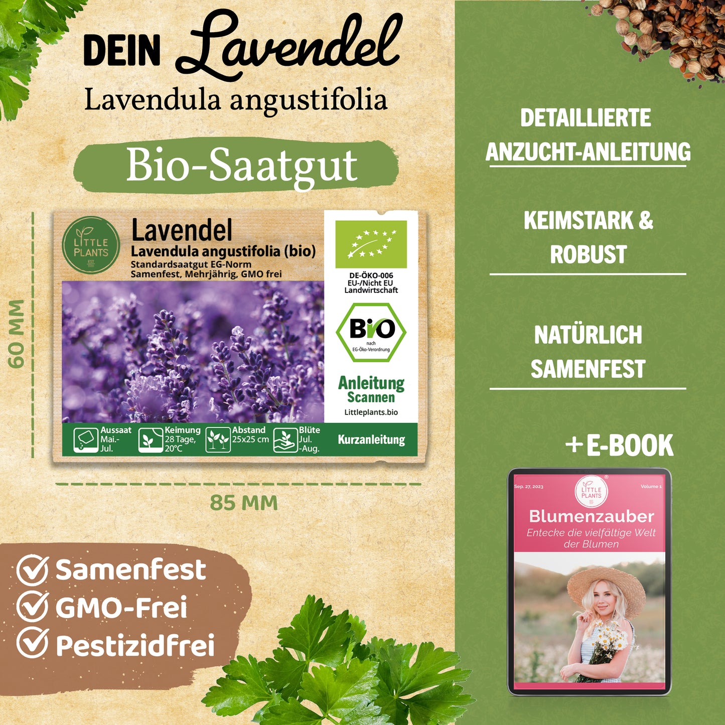 Bio-Lavendel