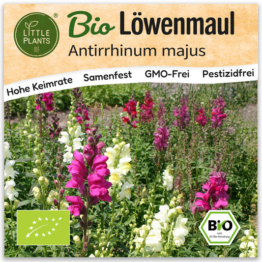 Bio-Löwenmaul