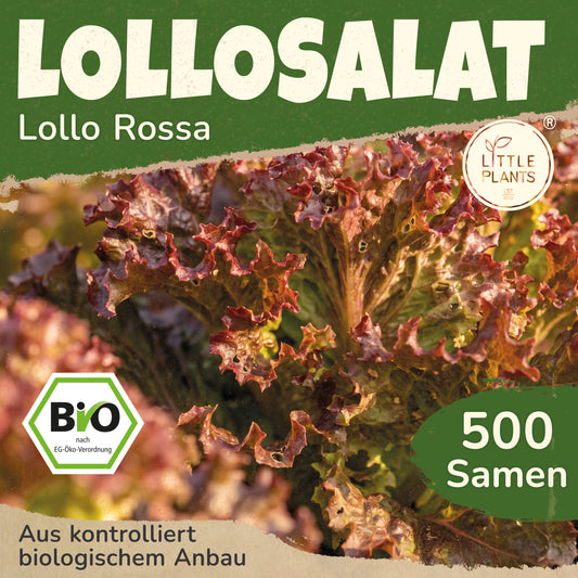 Bio-Lollo Salat (Lollo Rossa)