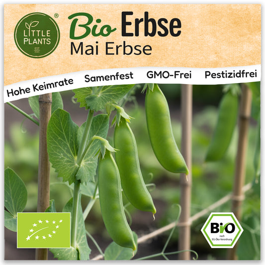 Bio-Erbse (Erster Anfang Mai)