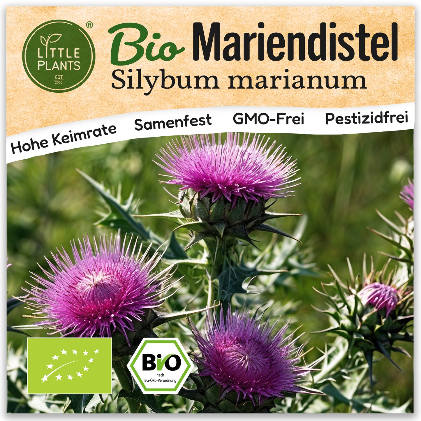 Bio-Mariendistel