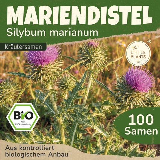 Bio-Mariendistel