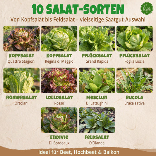 Bio-Salatsamen Set mit 10 Sorten