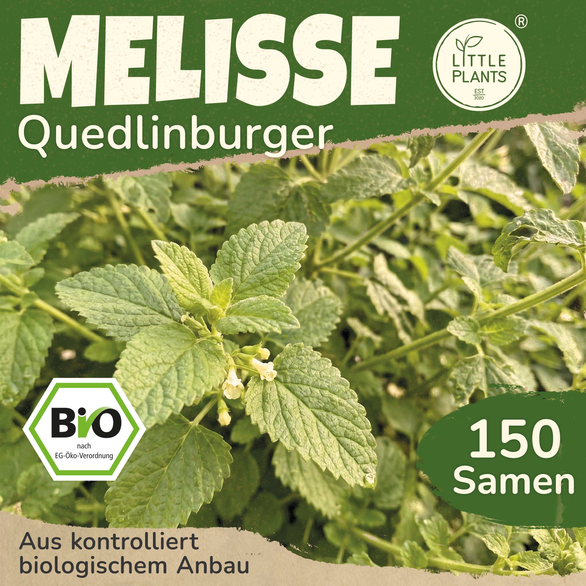 quedlinburger saatgut bio Bio-Melisse (Quedlinburger) – Little Plants