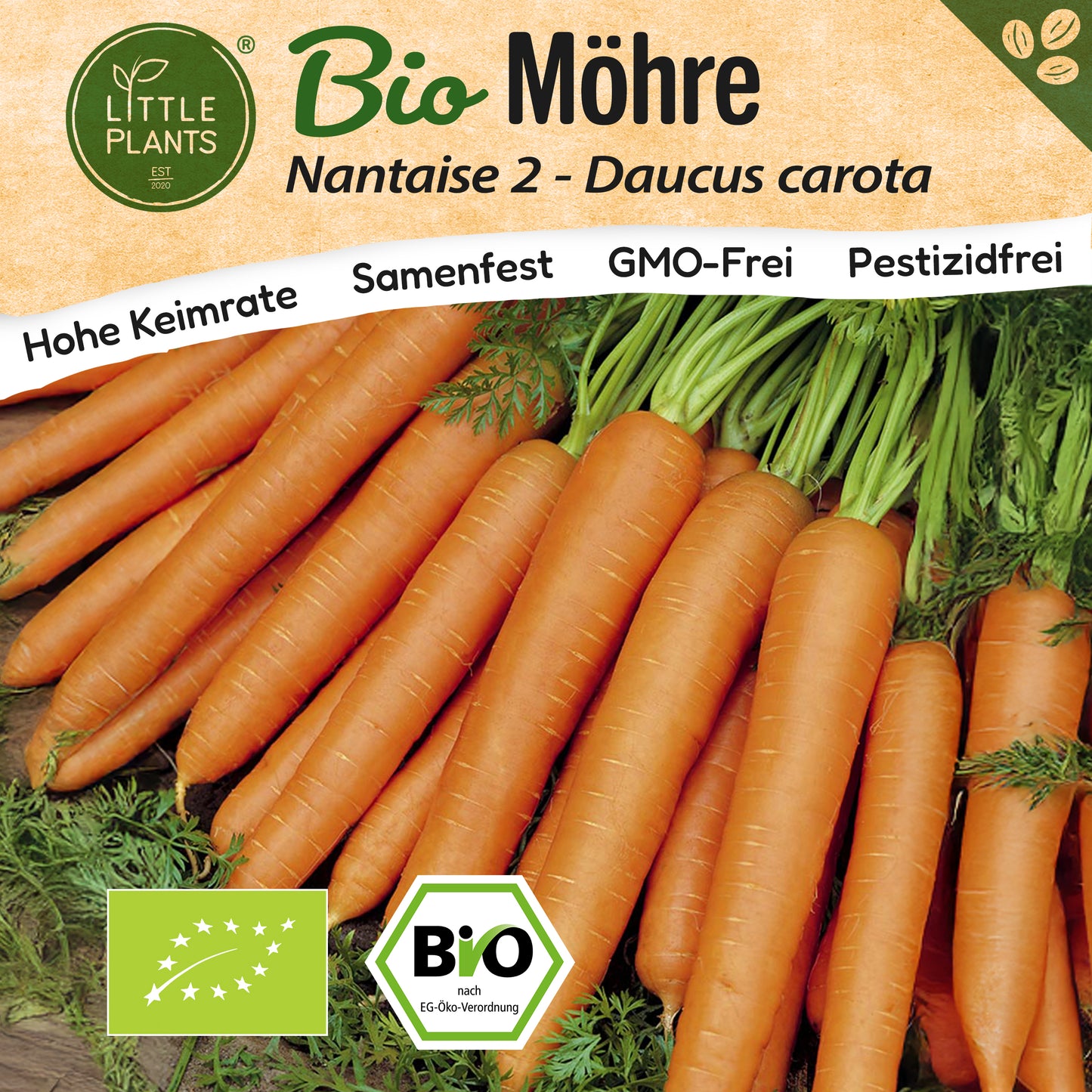 Bio-Möhre (Nantaise 2)