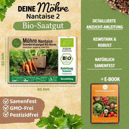 Bio-Möhre (Nantaise 2)