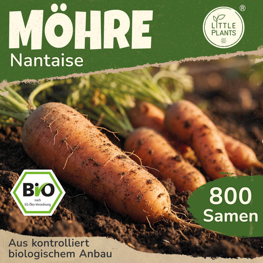 Bio-Möhre (Nantaise 2)