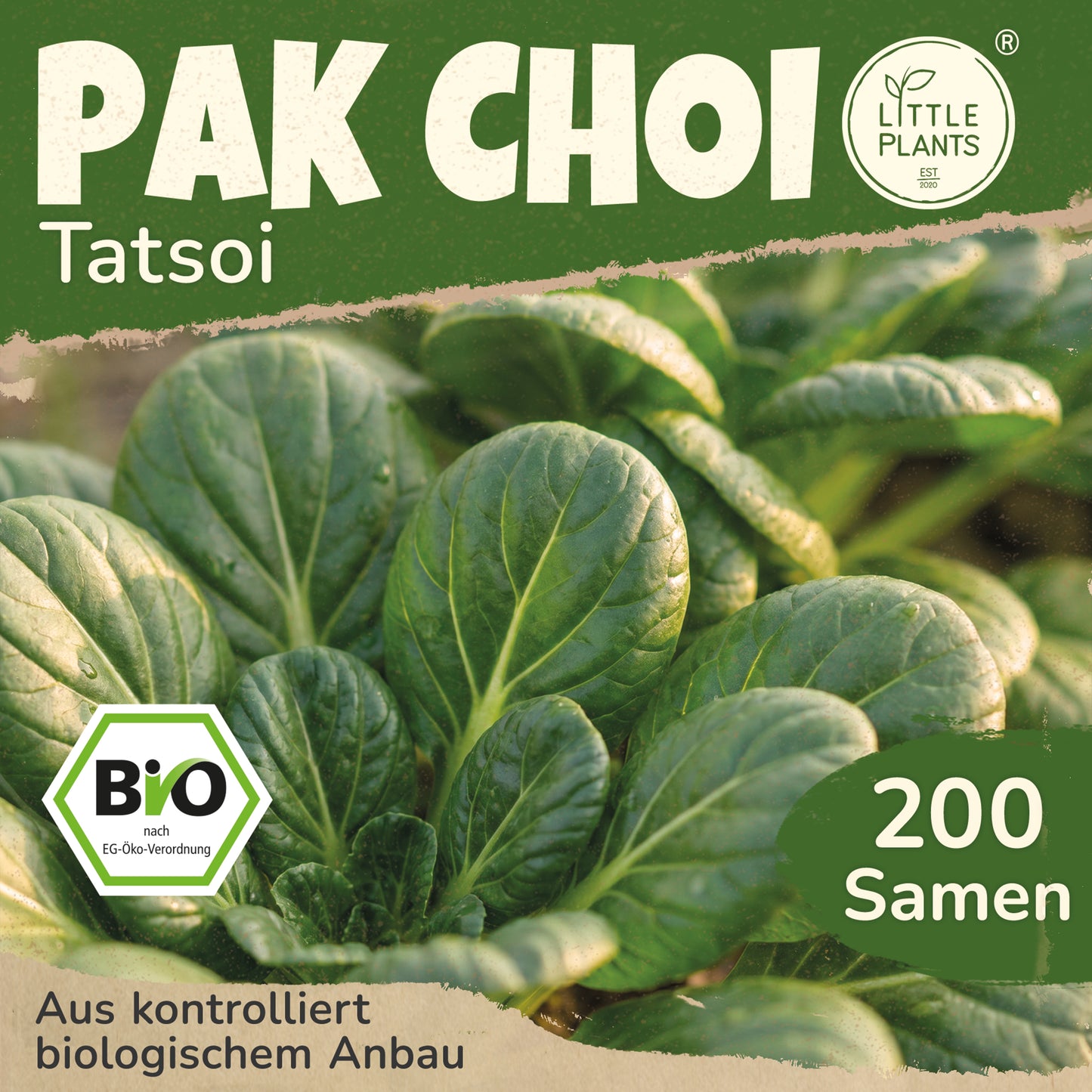 Bio-Pak Choi (Tatsoi)