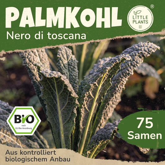 Bio-Palmkohl (Nero di toscana)