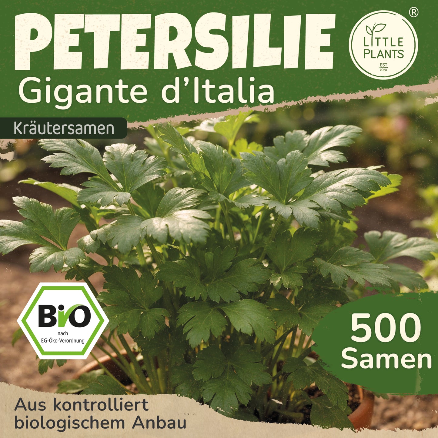 Bio-Petersilie (Gigante d'Italia)