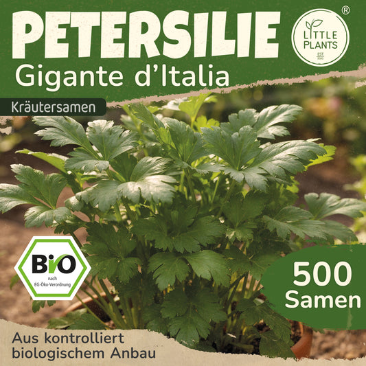 Bio-Petersilie (Gigante d'Italia)