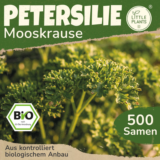 Bio-Petersilie (Mooskrause 2)