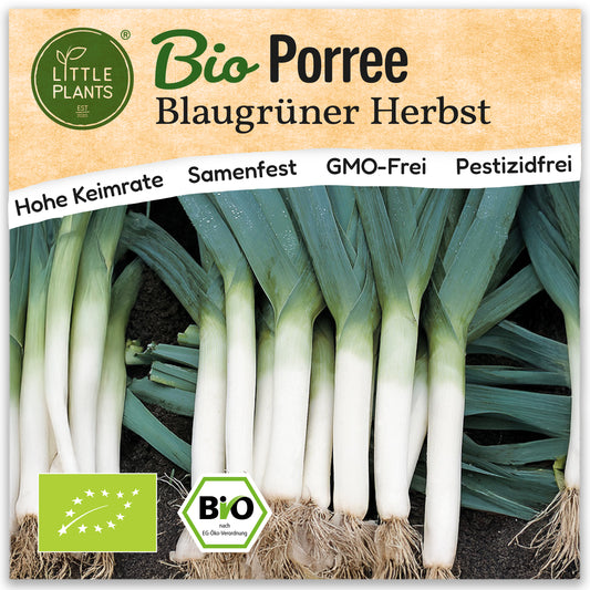 Bio-Porree (Blaugrün)