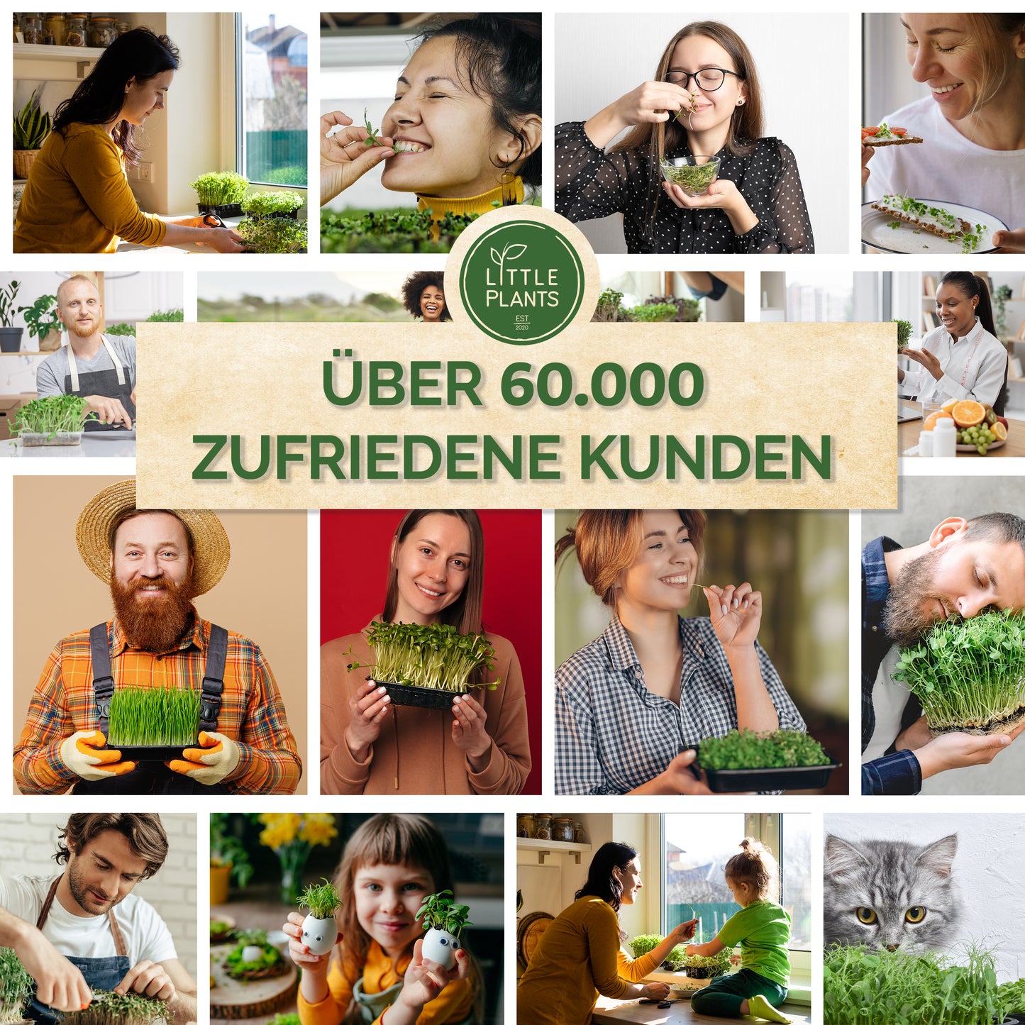 Bio Sprossen und Microgreen Probierset mit 14 Sorten