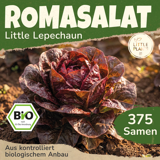 Bio-Salat (Little Leprechaun)