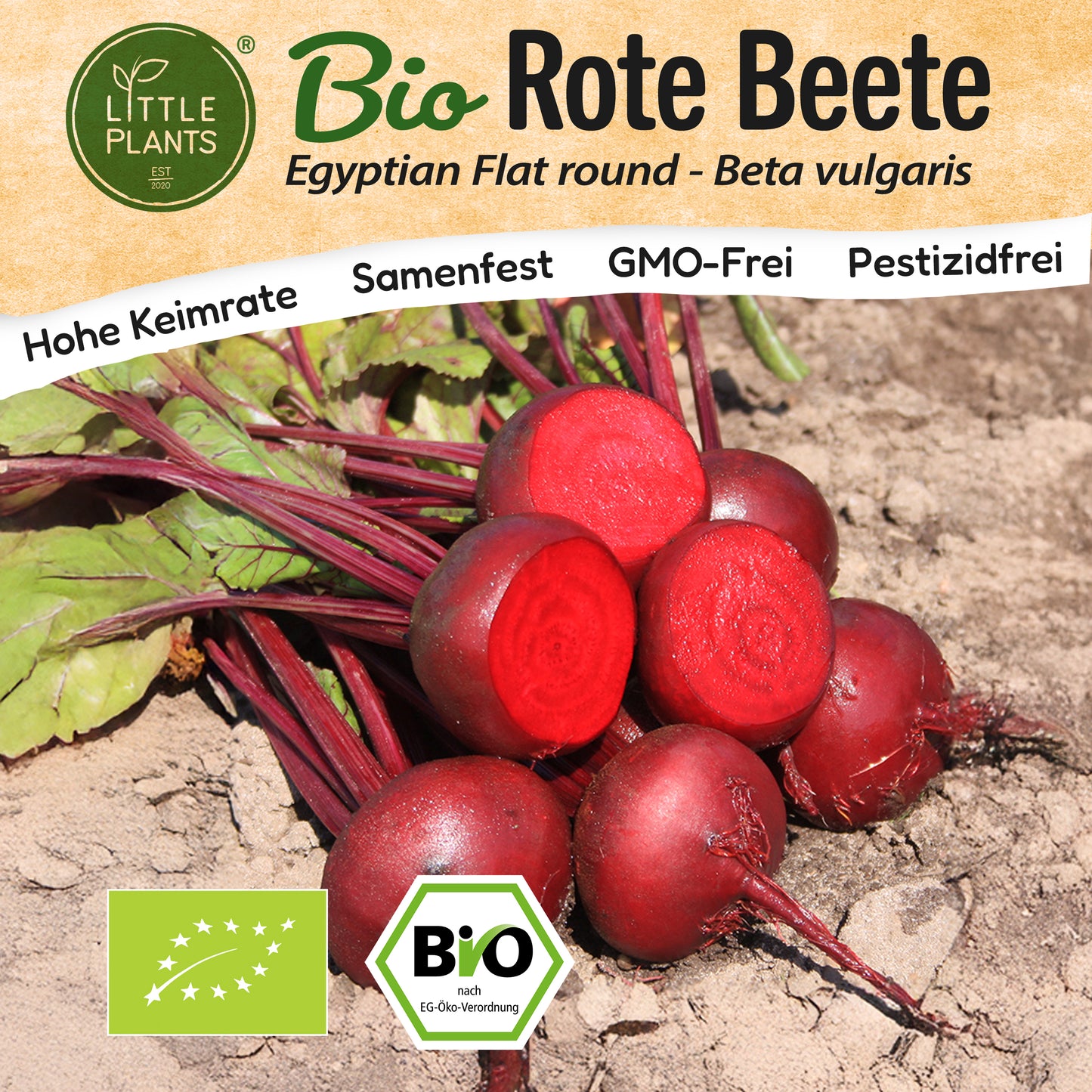 Bio-Rote Beete (Egyptian Flat Round)