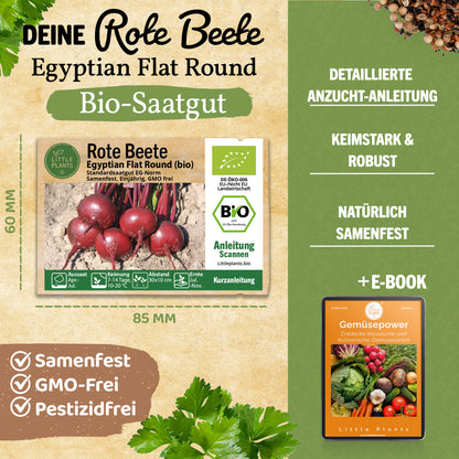 Bio-Rote Beete (Egyptian Flat Round)