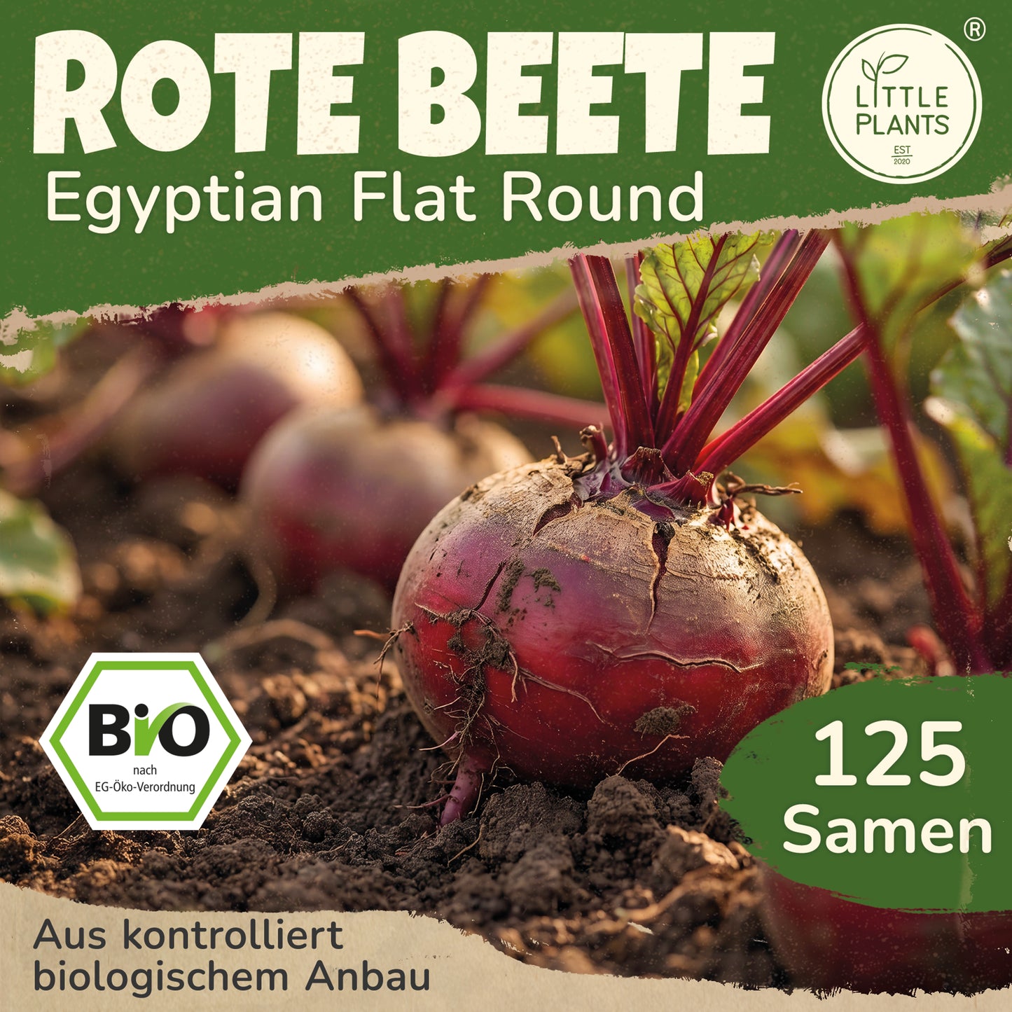 Bio-Rote Beete (Egyptian Flat Round)