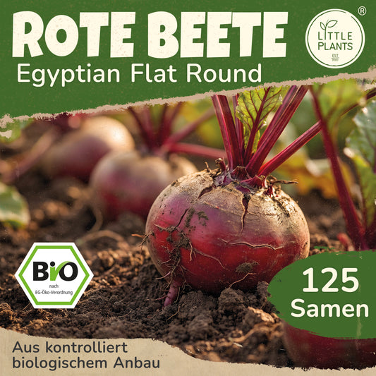 Bio-Rote Beete (Egyptian Flat Round)