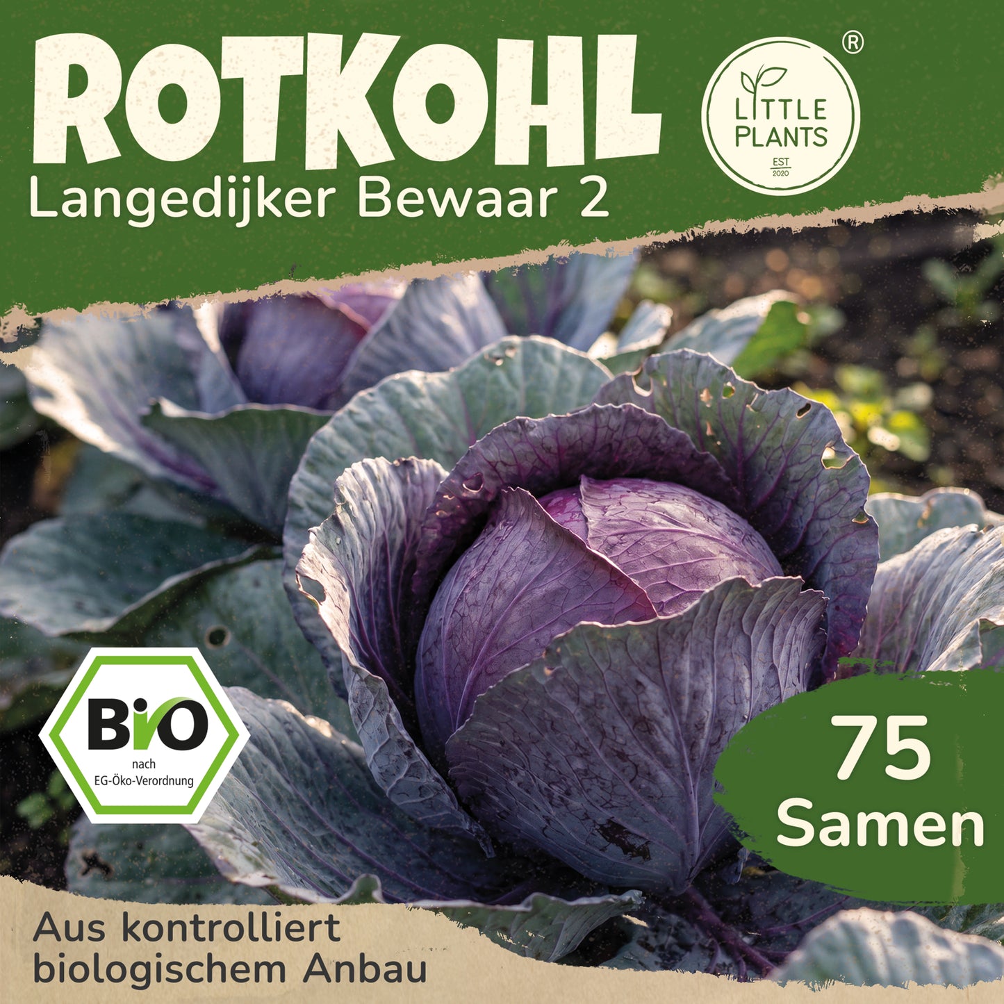 Bio-Rotkohl (Langedijker Bewaar 2)