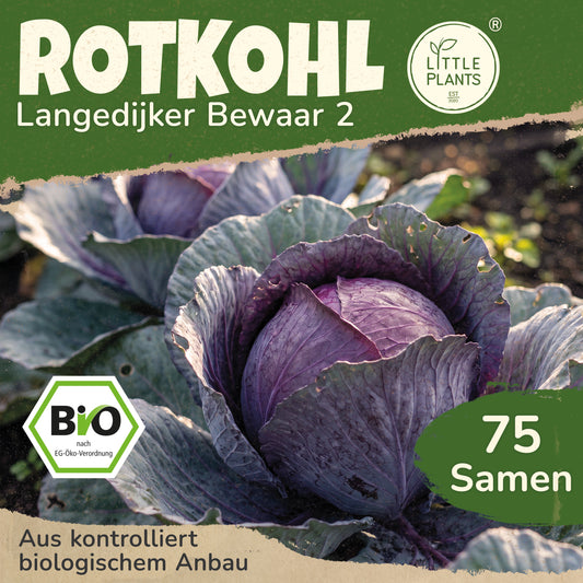 Bio-Rotkohl (Langedijker Bewaar 2)