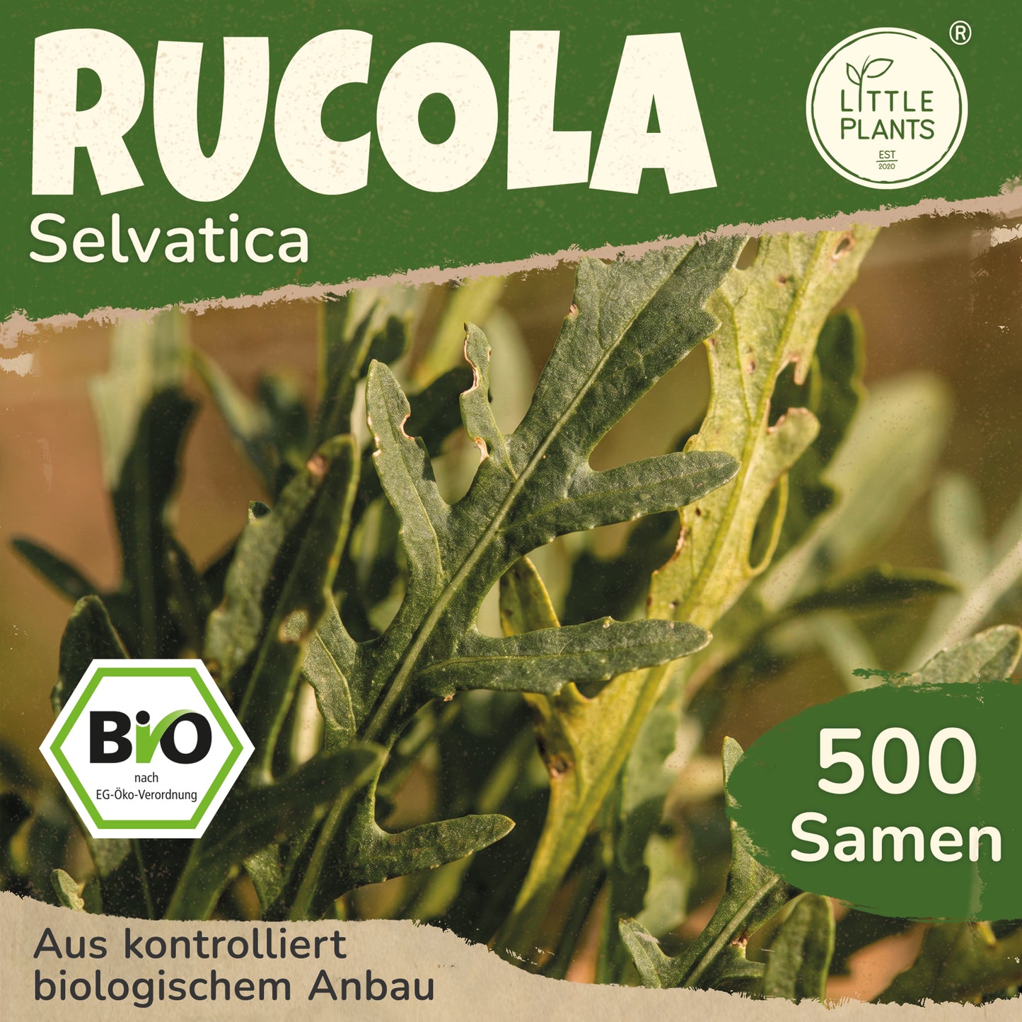 Bio-Rucola (Selvatica)