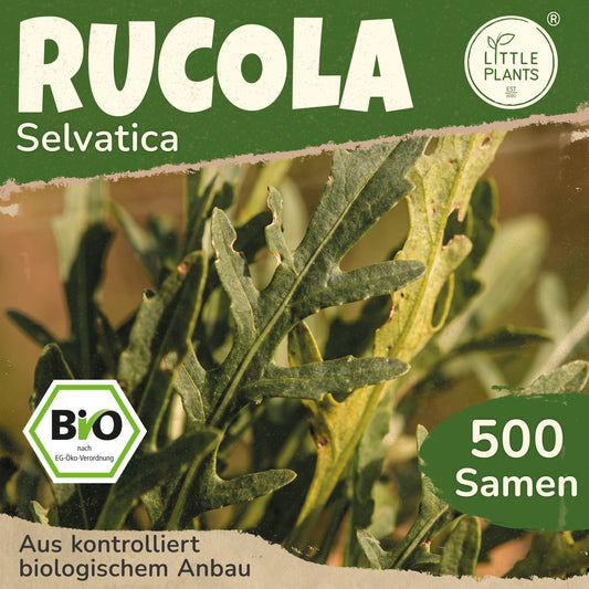 Bio-Rucola (Selvatica)