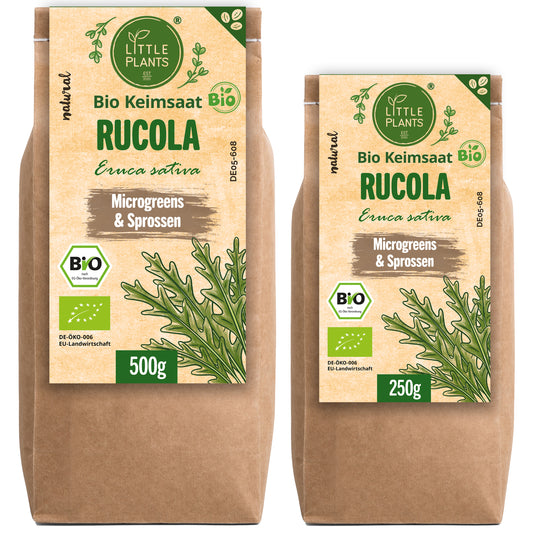 Bio Rucola Keimsaat 250g und 500g