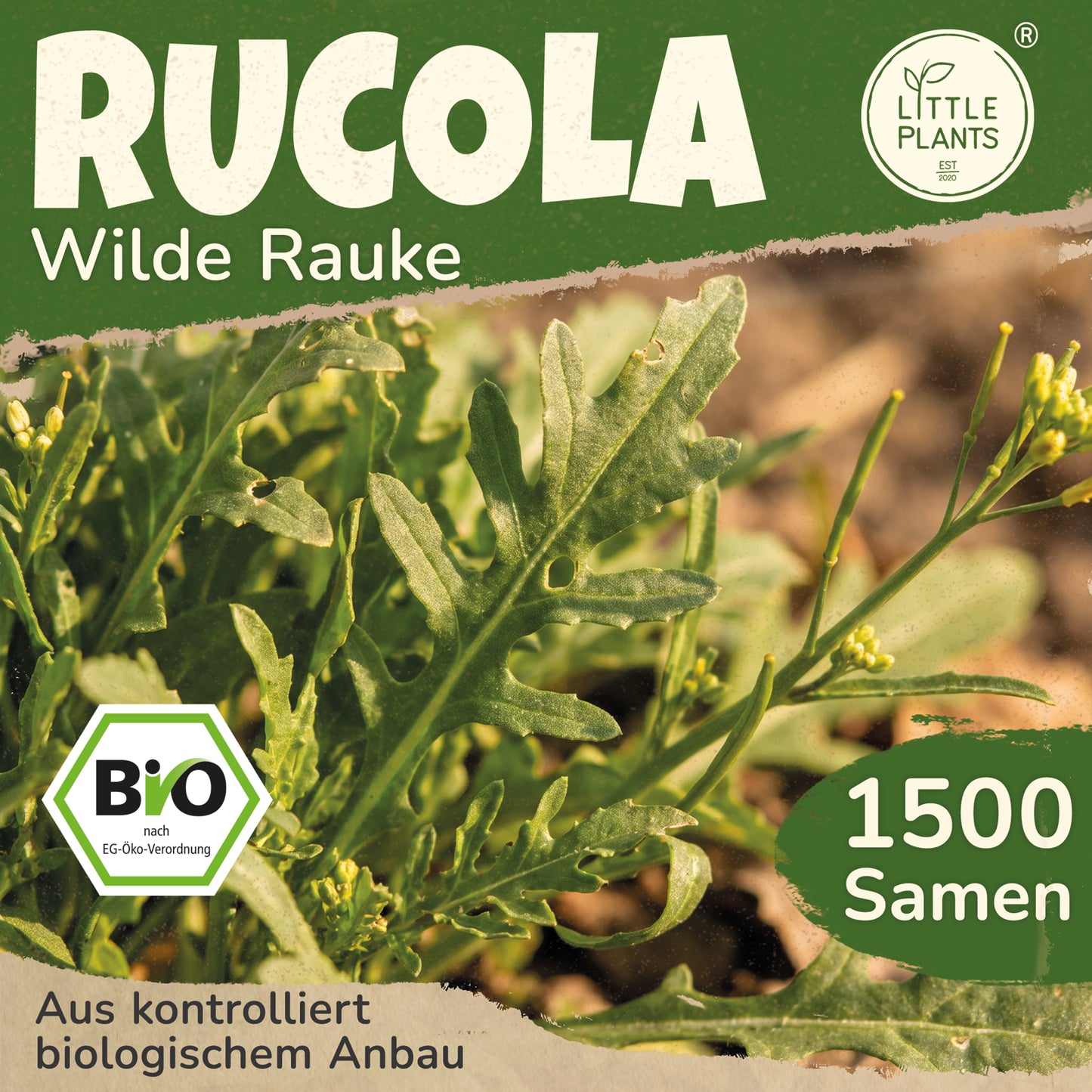Bio-Rauke (Wilde Rauke)