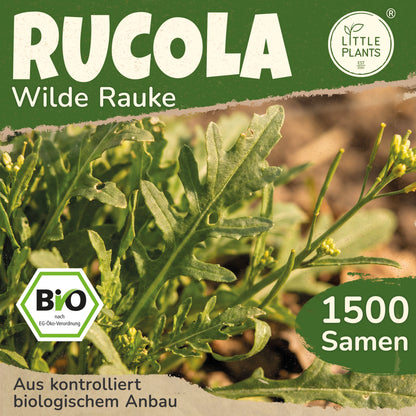 Bio-Rauke (Wilde Rauke)