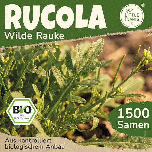 Bio-Rauke (Wilde Rauke)
