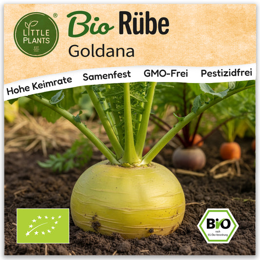 Bio-Rübe (Goldana)