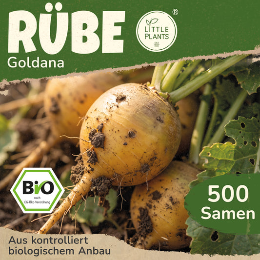 Bio-Rübe (Goldana)