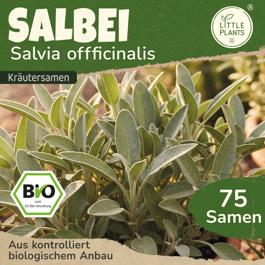 Bio-Salbei (Gewöhnlich)