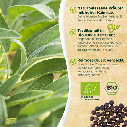 Bio-Salbei (Gewöhnlich)