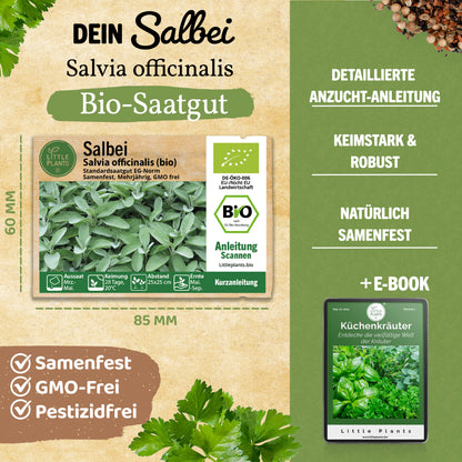 Bio-Salbei (Gewöhnlich)
