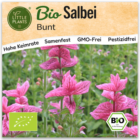 Bio-Salbei (Bunt)