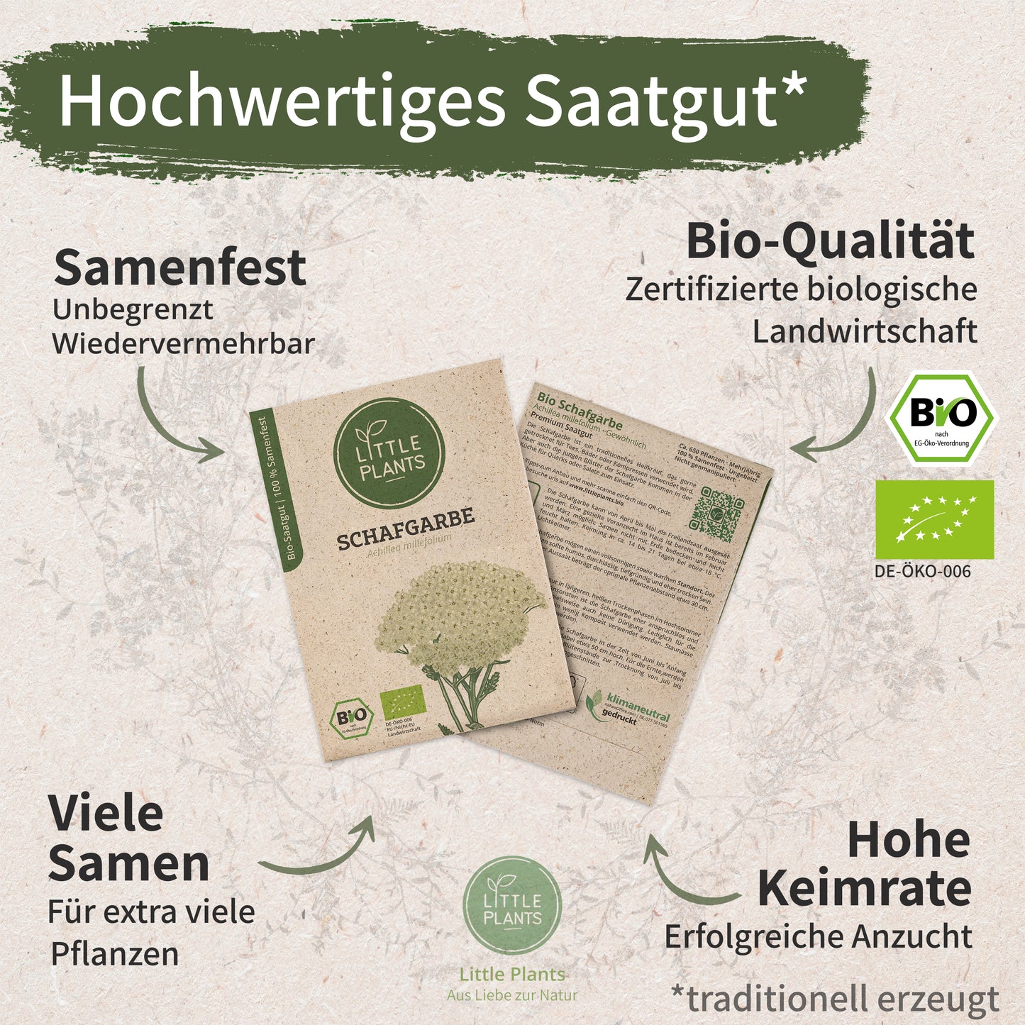 Bio-Schafgarbe (Gewöhnlich)