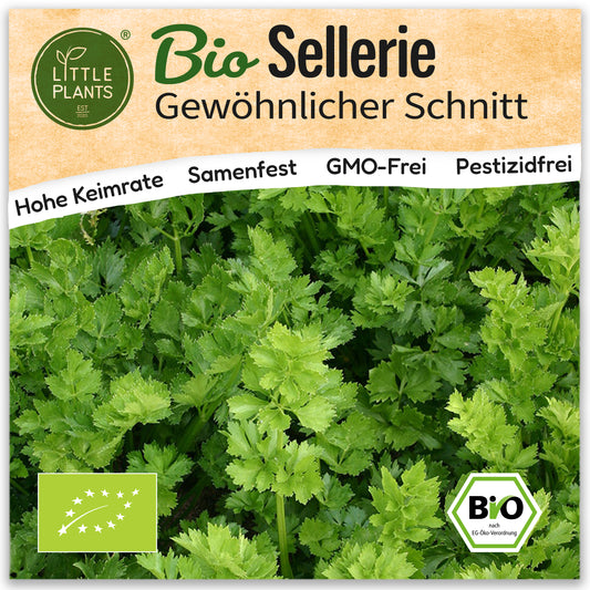 Bio-Sellerie (Schnitt)
