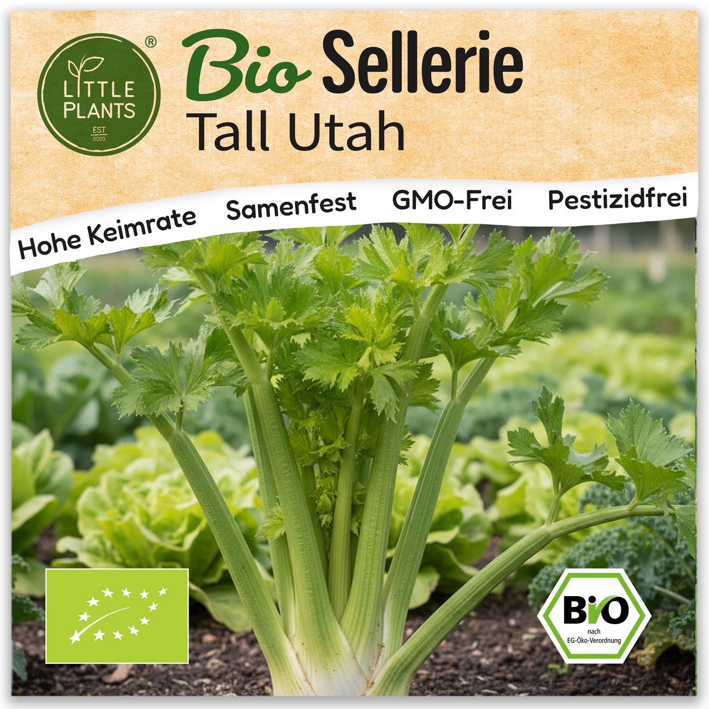 Bio-Sellerie (Tall Utah)
