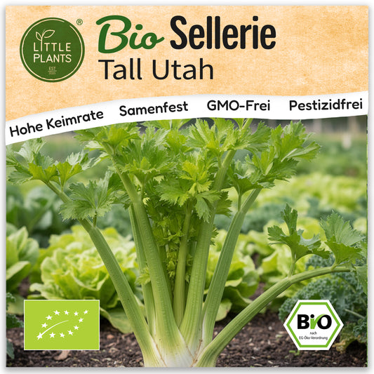 Bio-Sellerie (Tall Utah)