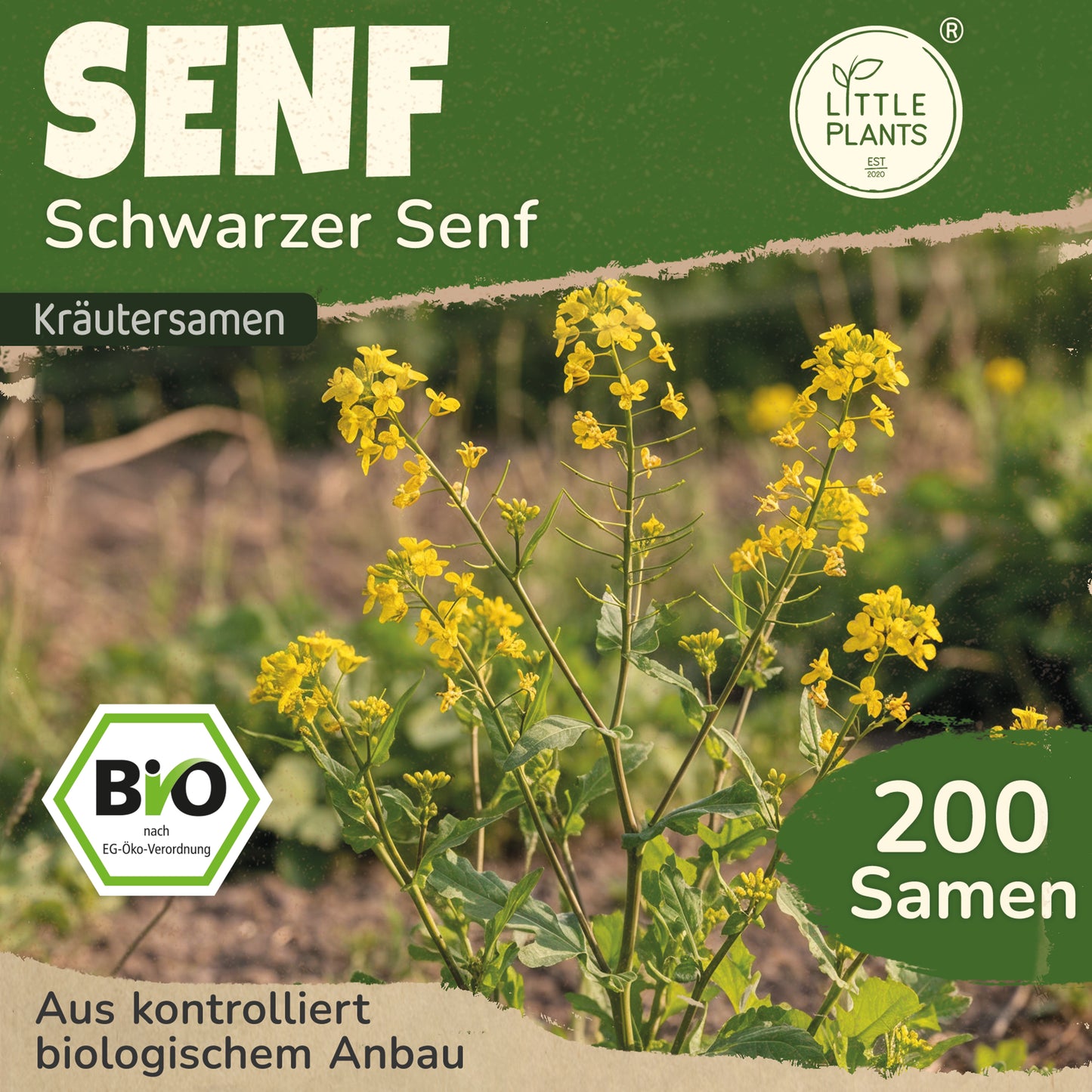 Bio-Senf (Schwarzer)