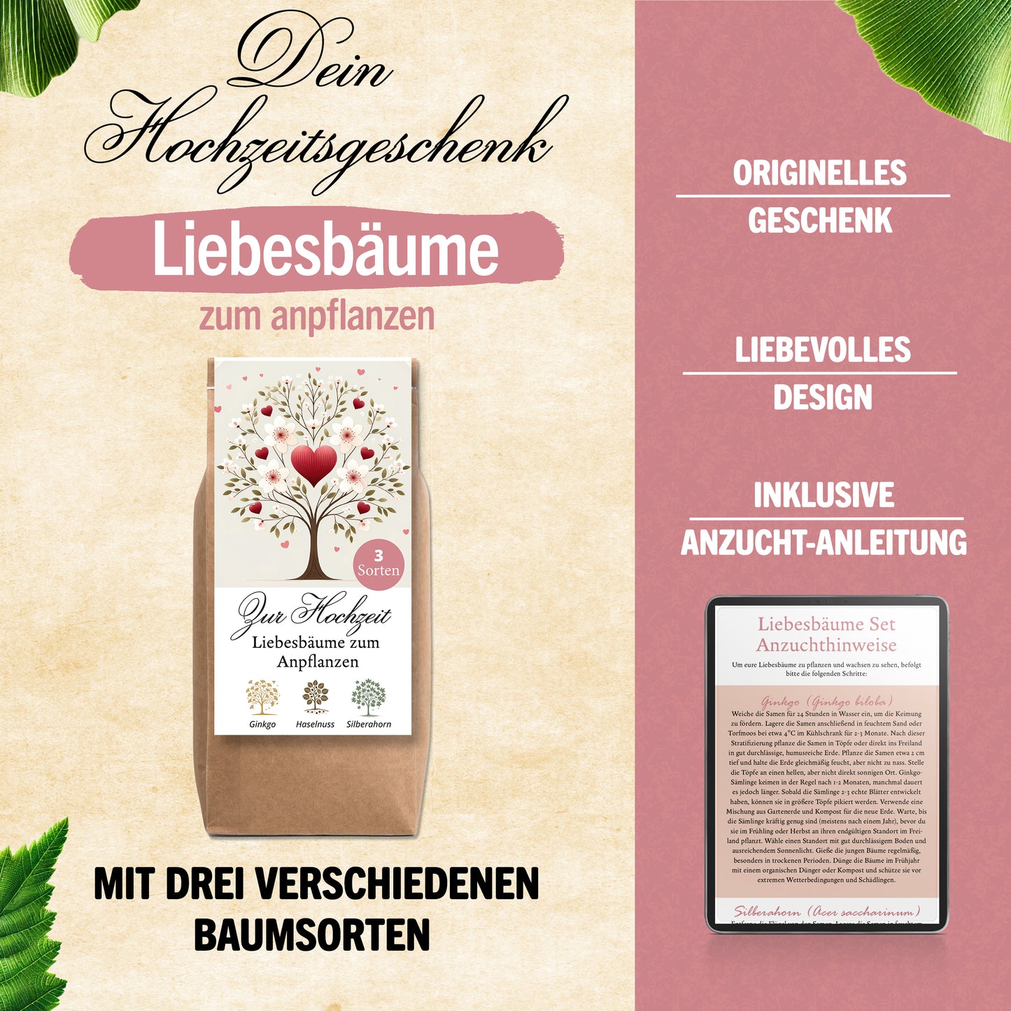 Liebesbäume zum anpflanzen, Geschenk zur Hochzeit