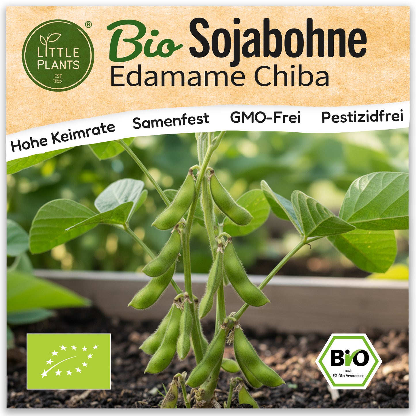 Bio-Sojabohne (Edamame Chiba Green)