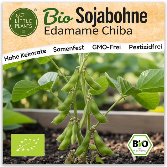 Bio-Sojabohne (Edamame Chiba Green)