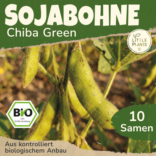 Bio-Sojabohne (Edamame Chiba Green)